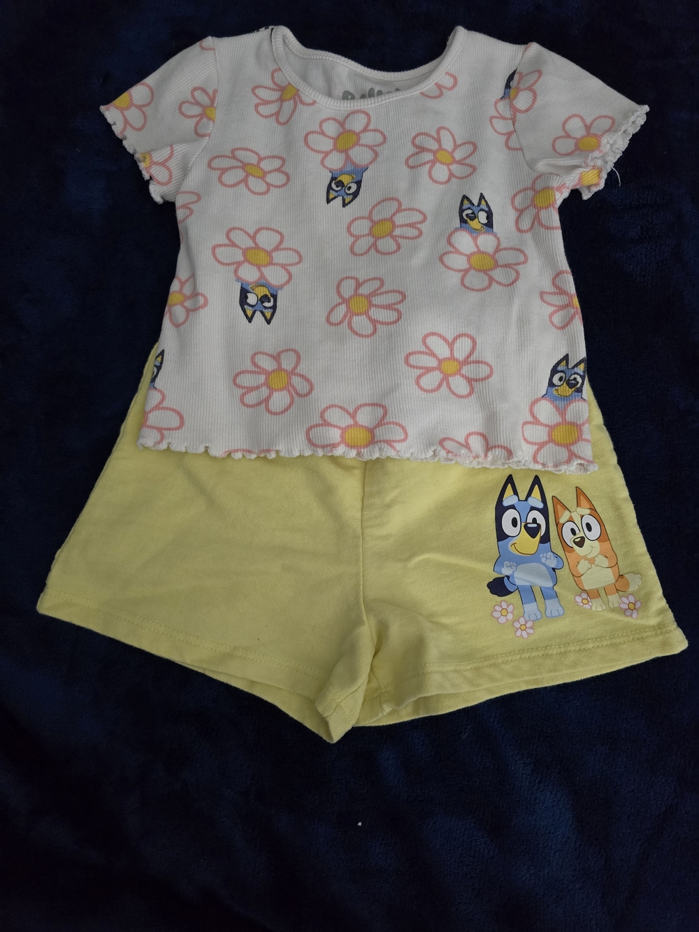 Lucy Pink Floral Tee with Yellow Cartoon Shorts Set